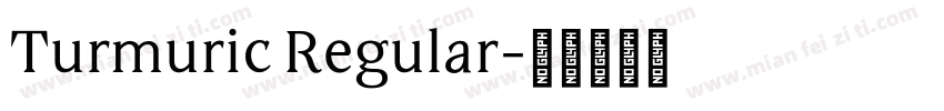 Turmuric Regular字体转换